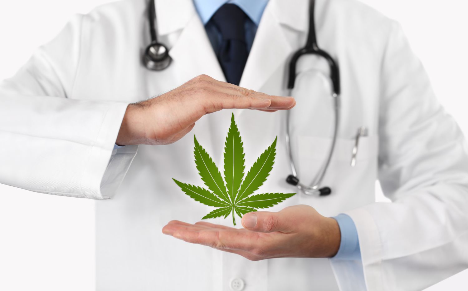 Csc hamburg | Cannabis verantwortungsvoll genießen