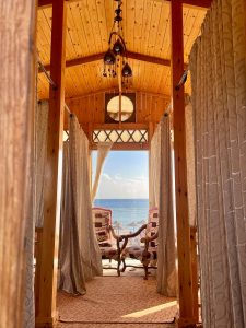 pexels-iulianna-21434677-11700056